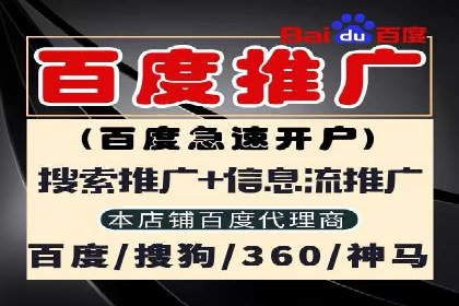 某电商企业SEM竞价代运营全记录：销量翻倍的奥秘